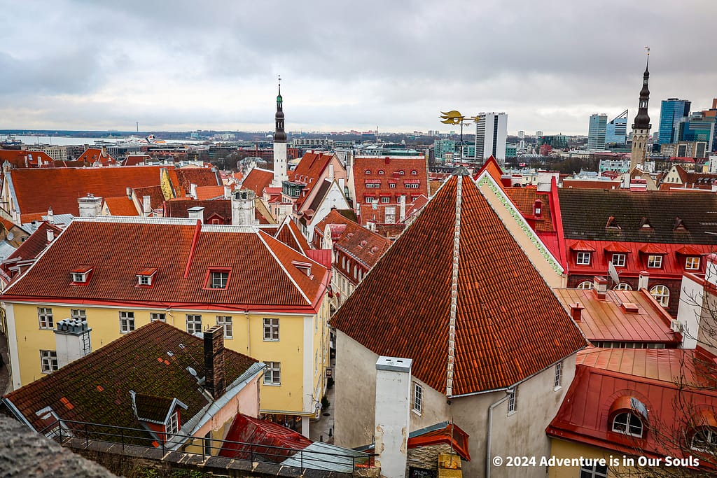 Point Kohtuotsa - Estonia