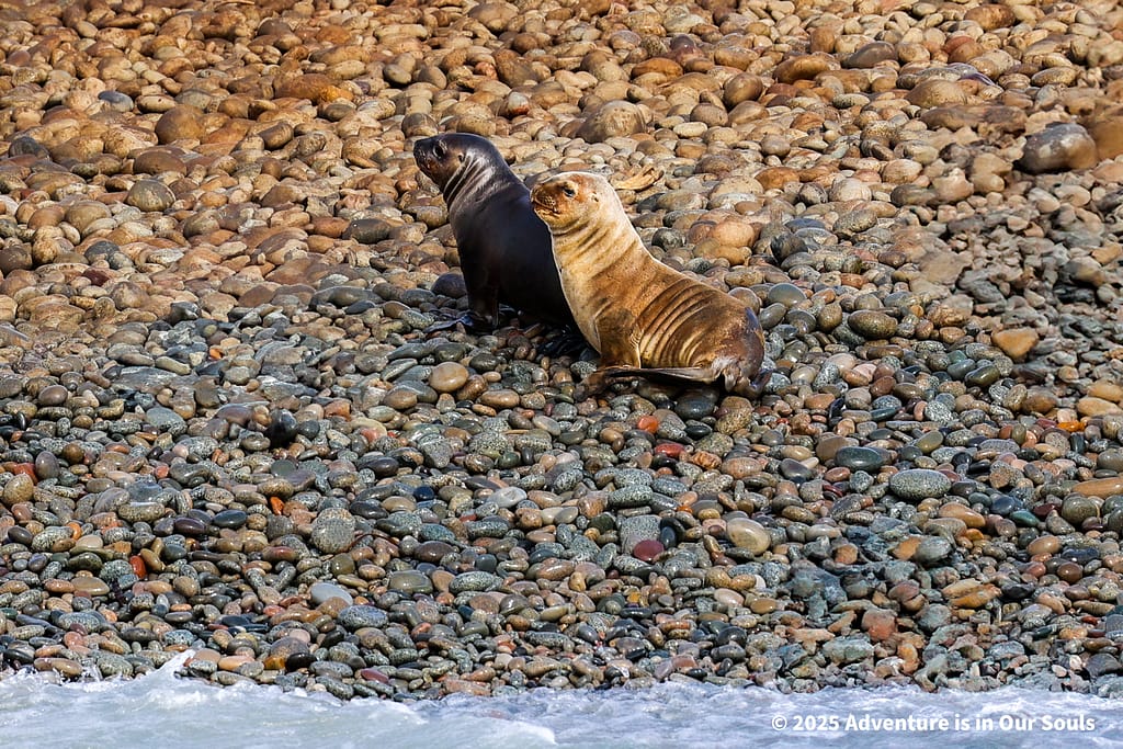 Paracas Peru