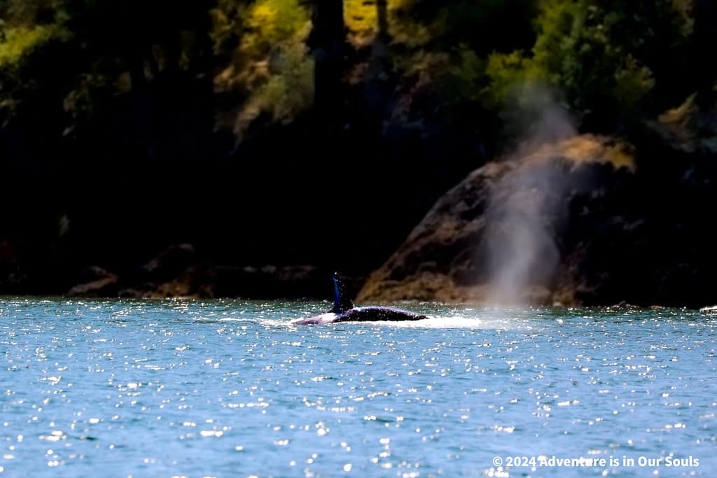 Anacortes Washington