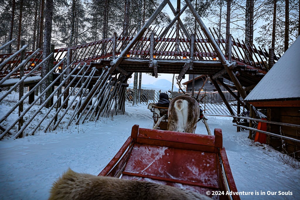 Reindeer Santa Claus Village Finland