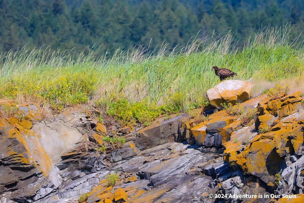 Anacortes Washington