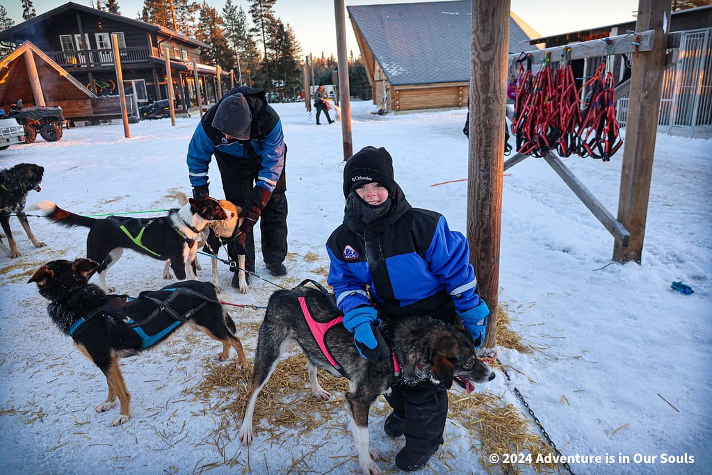 Huskies - Finland