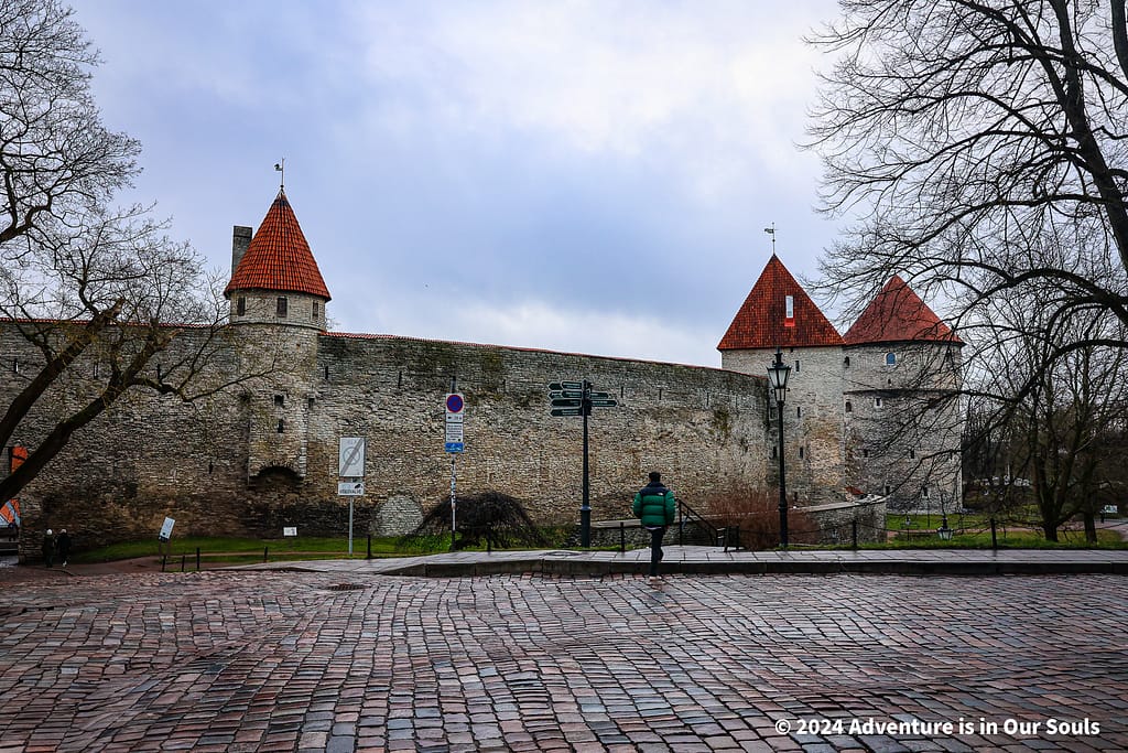 Danish King's Garden - Estonia