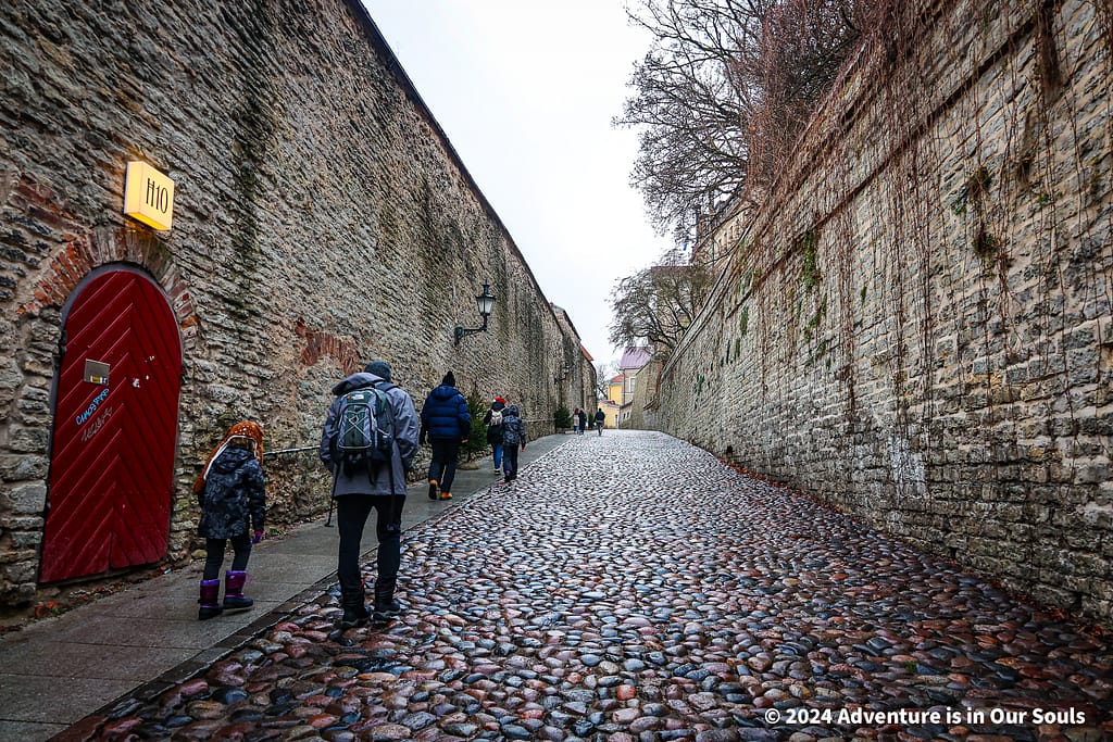Long Leg Gate Tower - Estonia