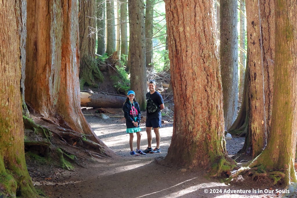 Mt Rainier National Park