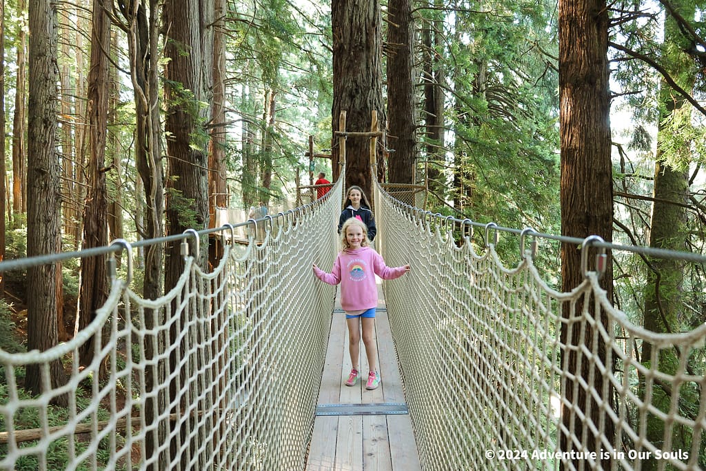 Trees of Mystery - Redwoods