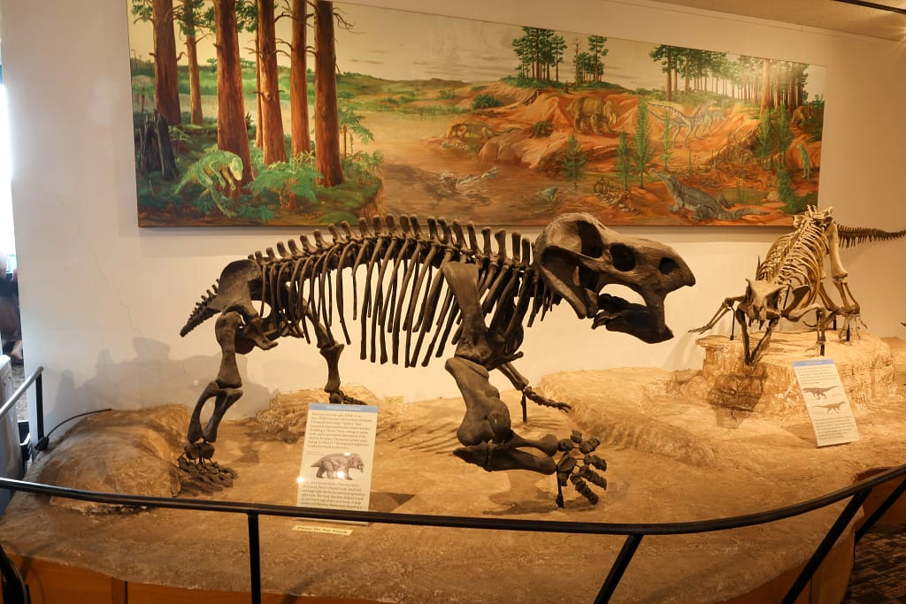 Petrified Forest NP Visitor Center