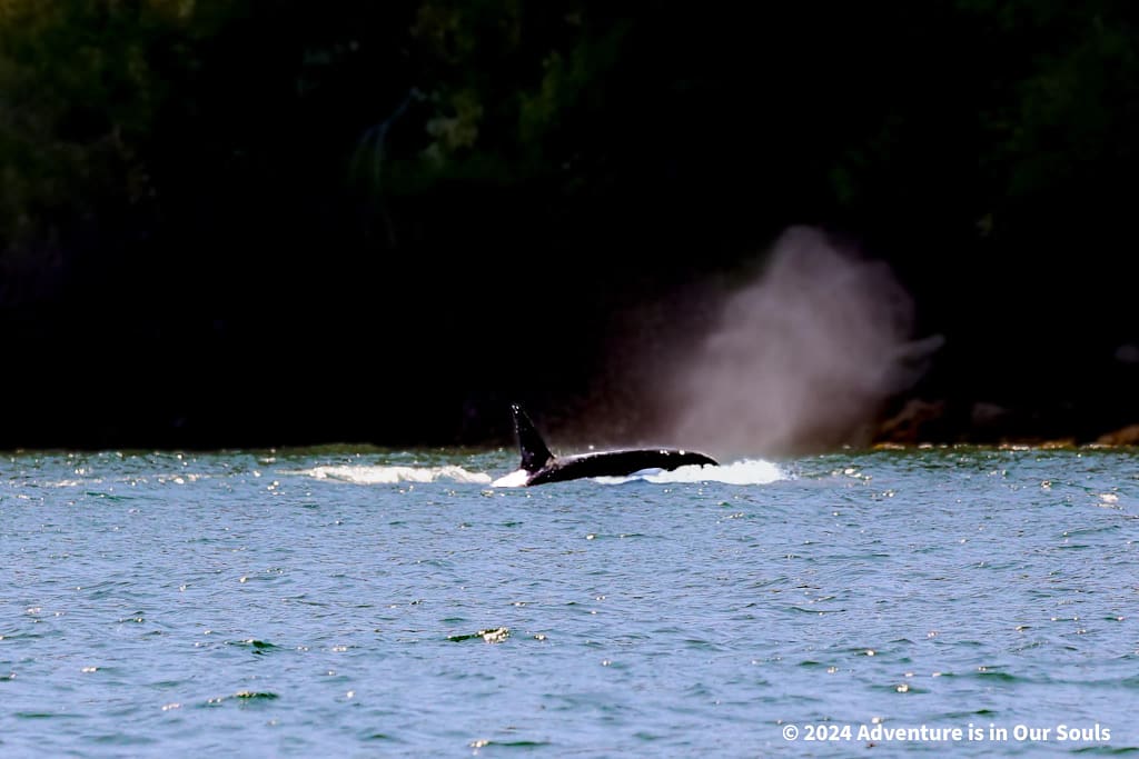 Anacortes Washington