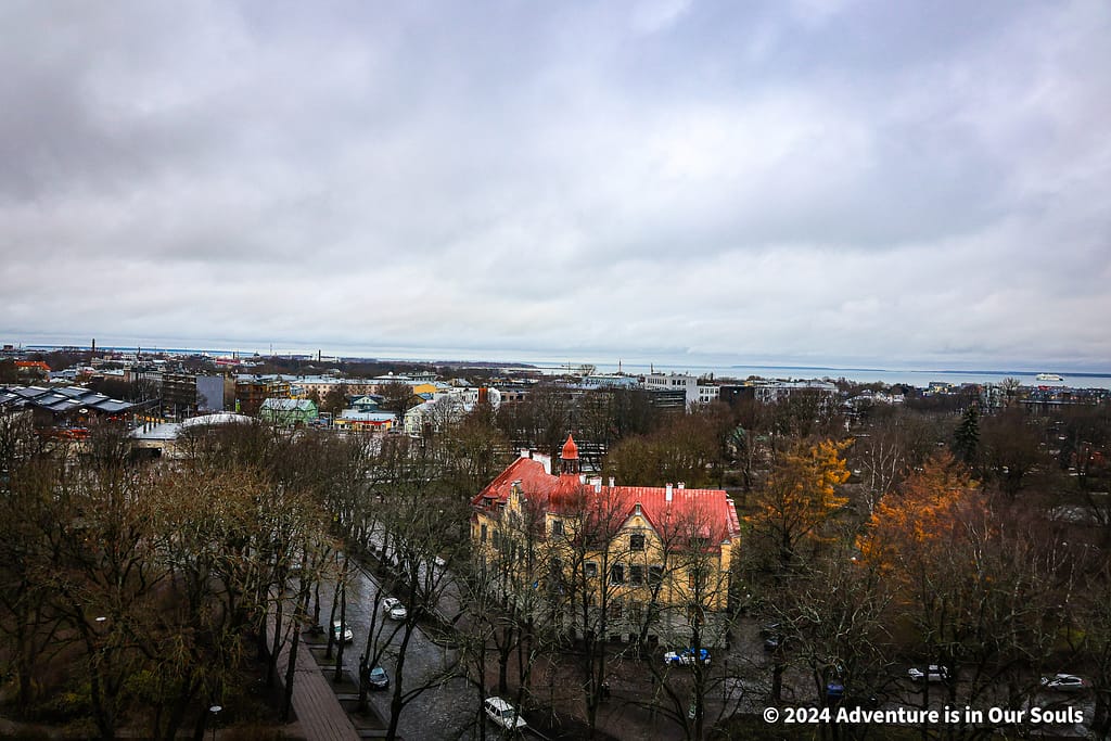 Patkuli Viewing Platform - Estonia