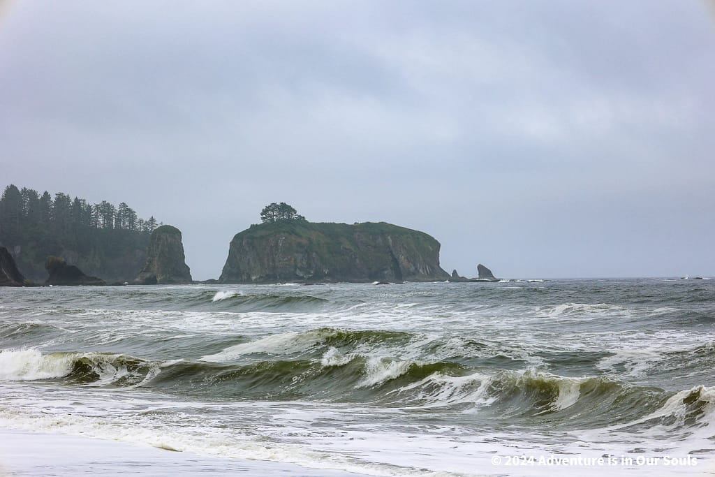 Olympic National Park