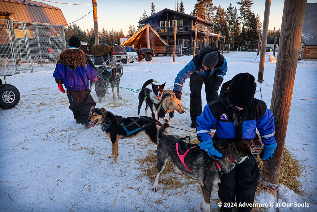 Huskies - Finland