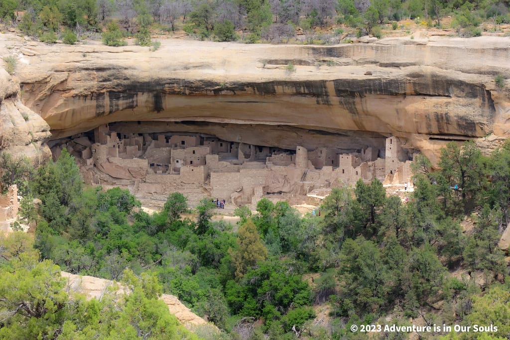 View of Cliff Palace from Sun Point View - Mesa Verde National Park