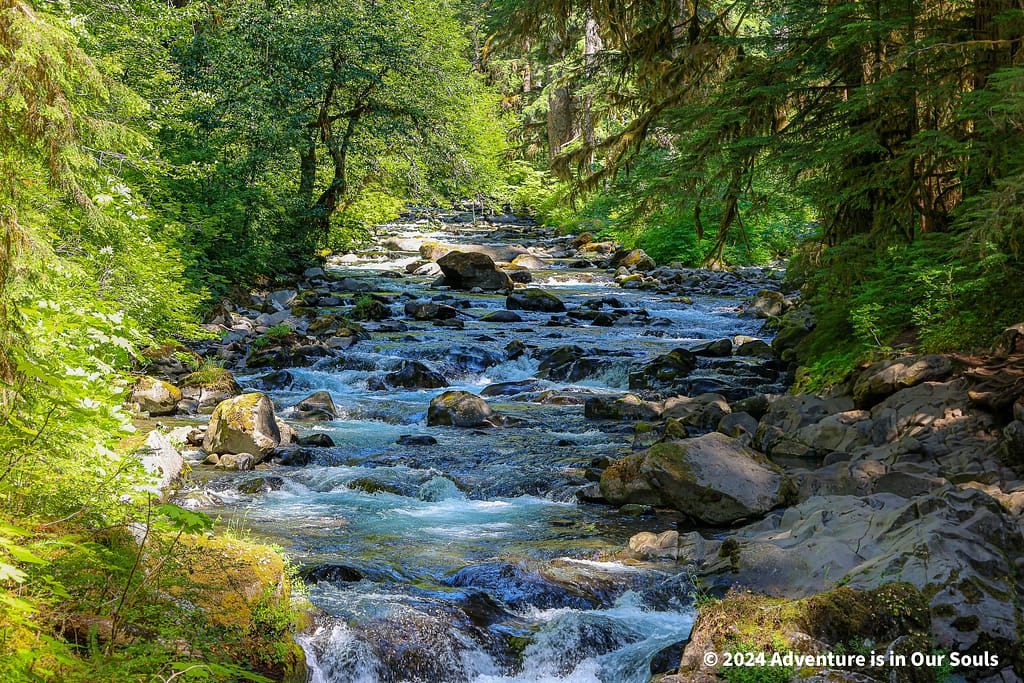 Olympic National Park