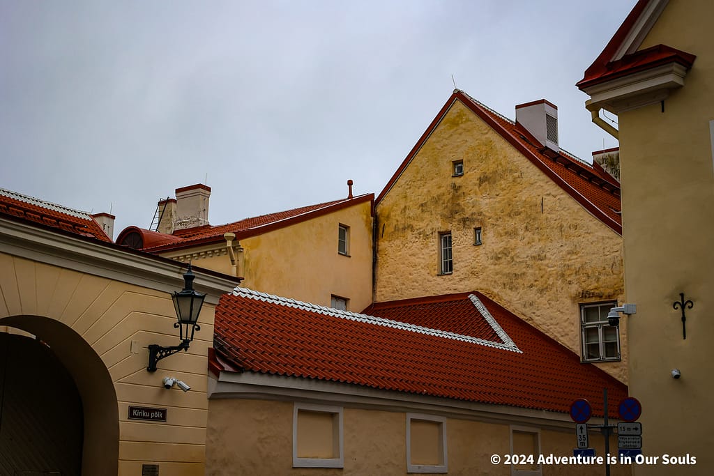 St Mary's Cathedral - Estonia