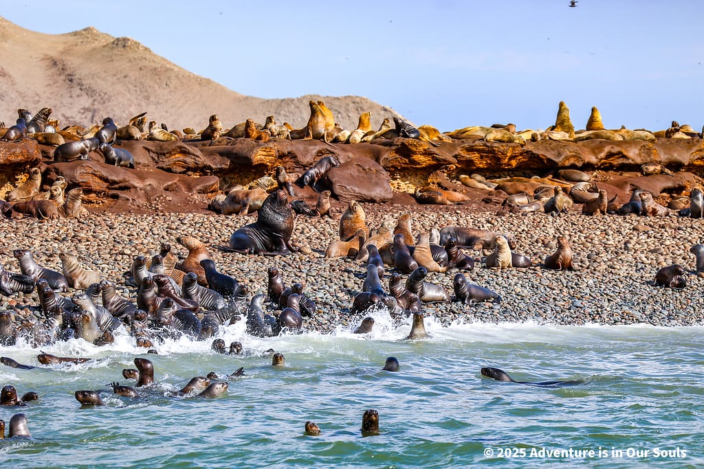 Paracas Peru