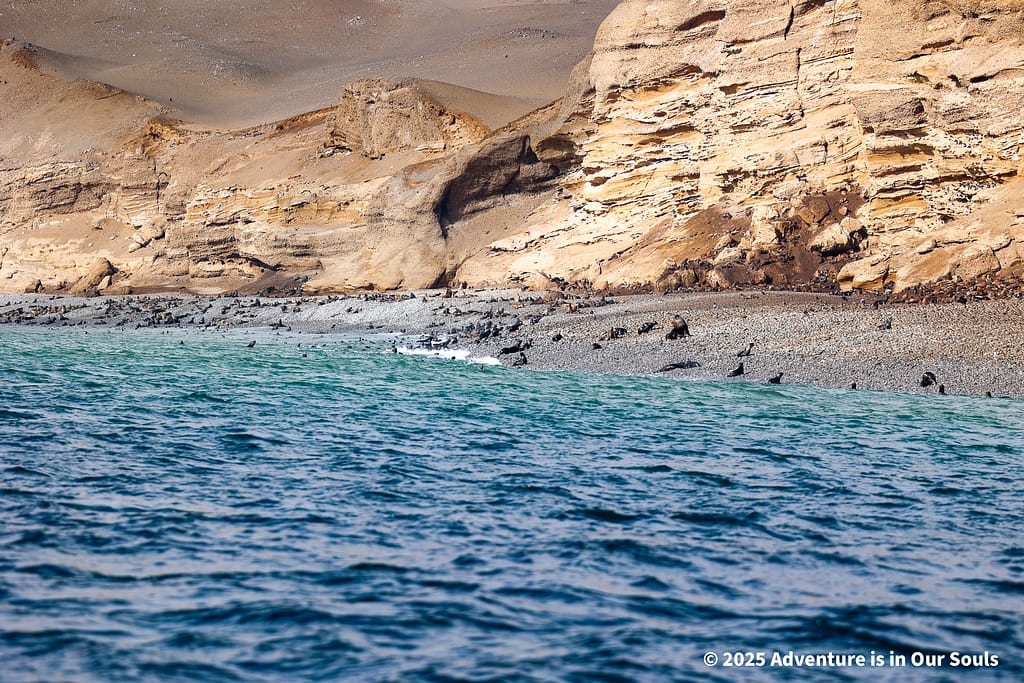 Paracas Peru
