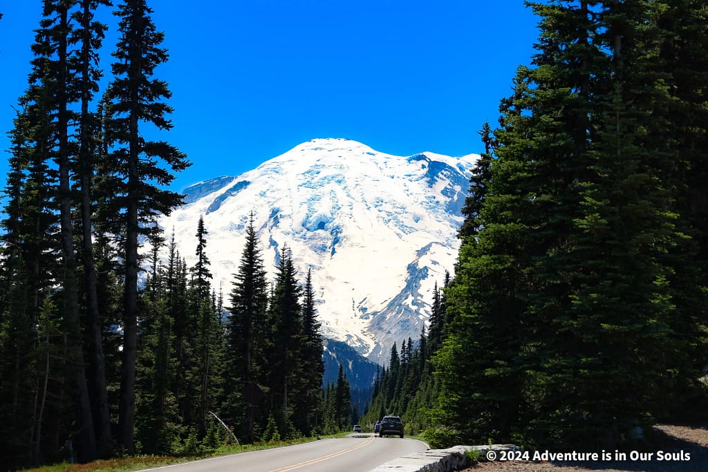 Mt Rainier National Park
