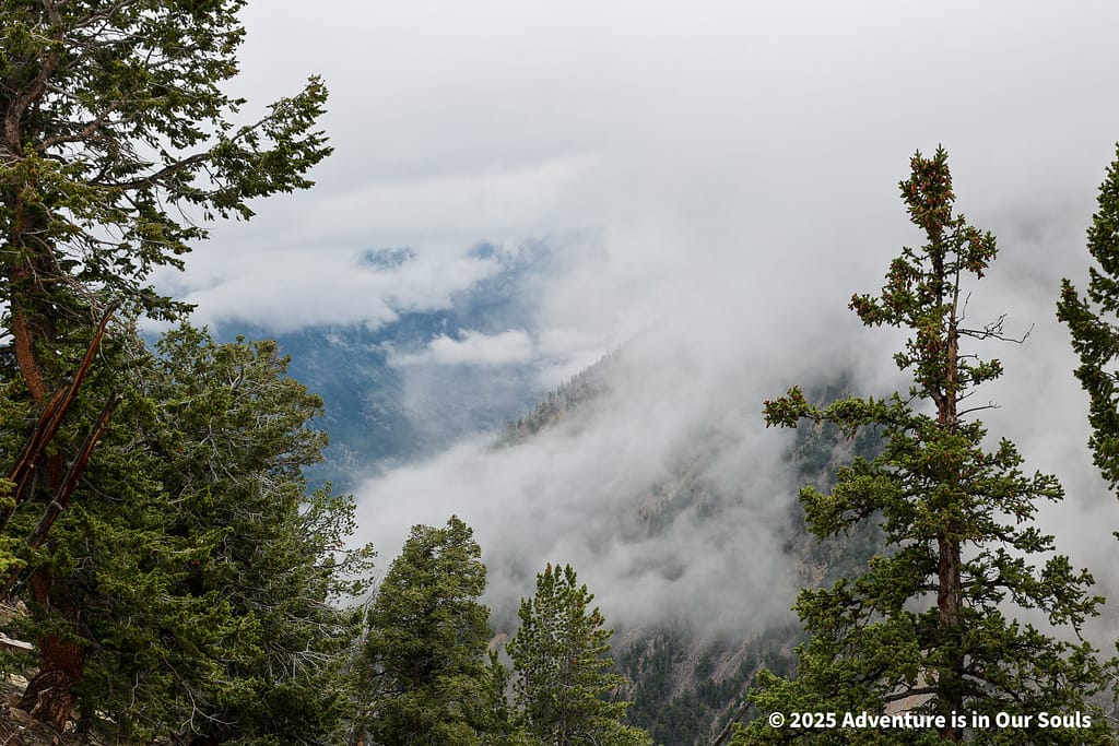 Beartooth Hwy