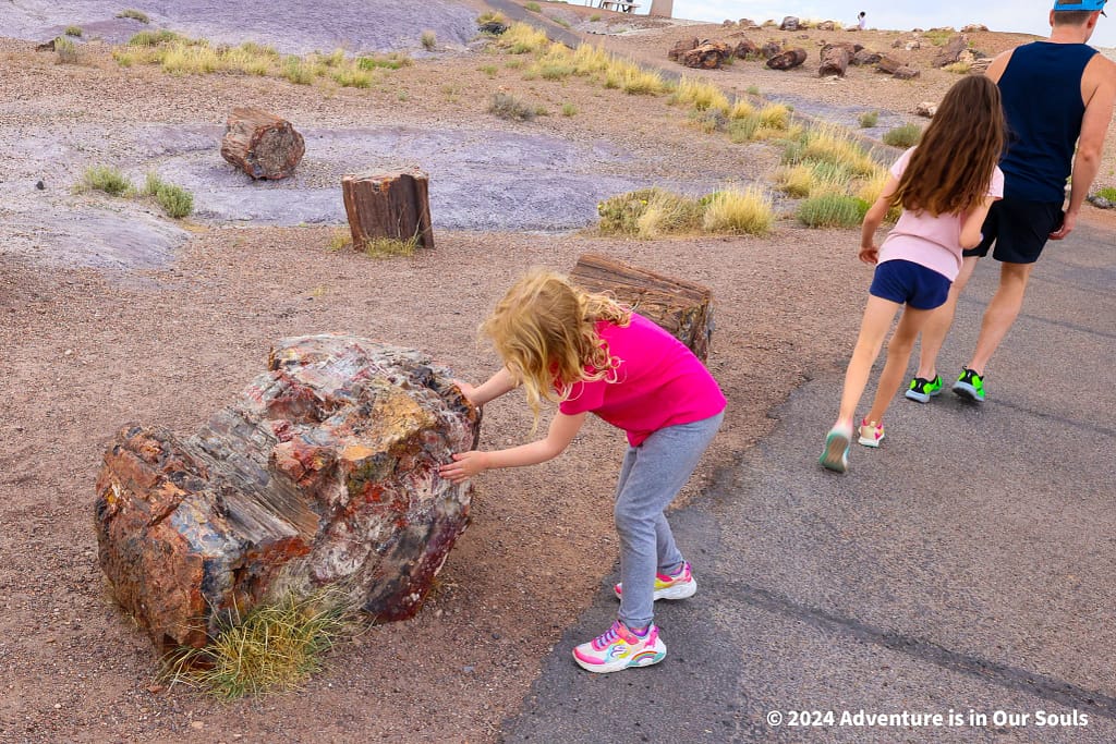 Dustin, Buttercup and Spider Monkey in the the Petrified Forest National Park