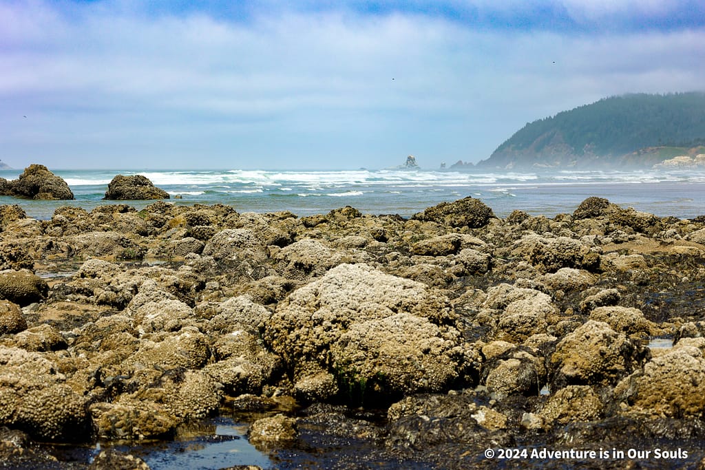 Cannon Beach Oregon