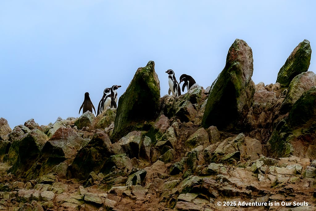 Paracas Peru
