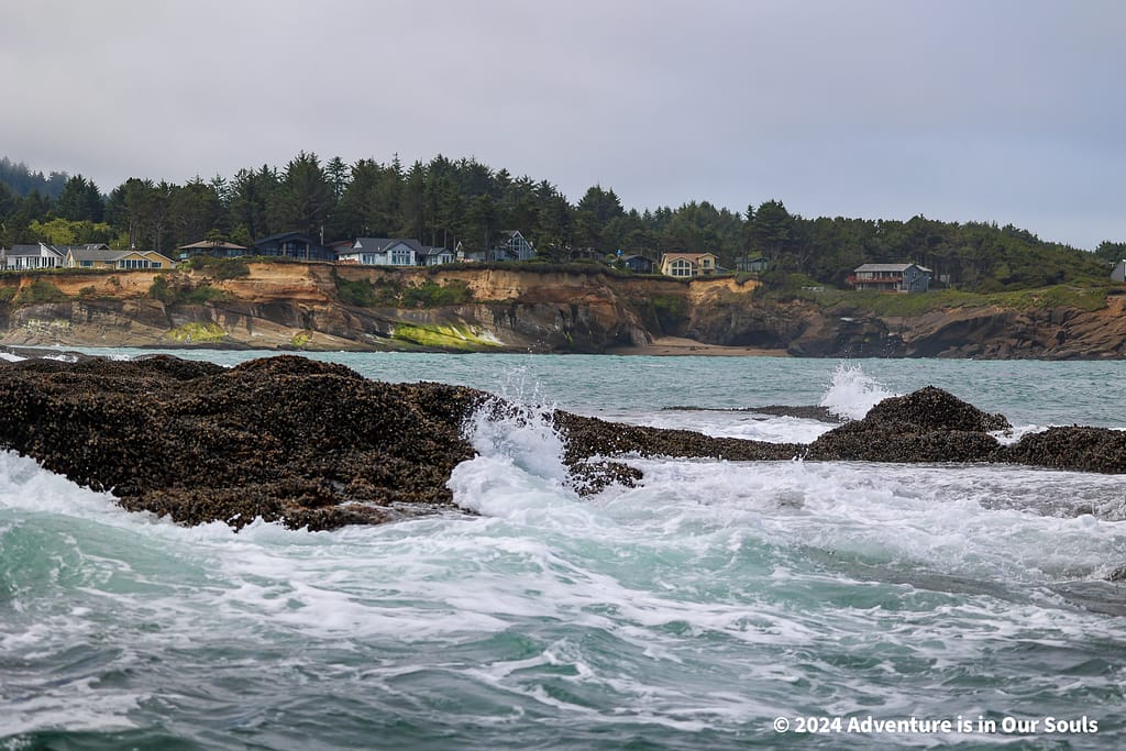 Depoe Bay Whale Watching