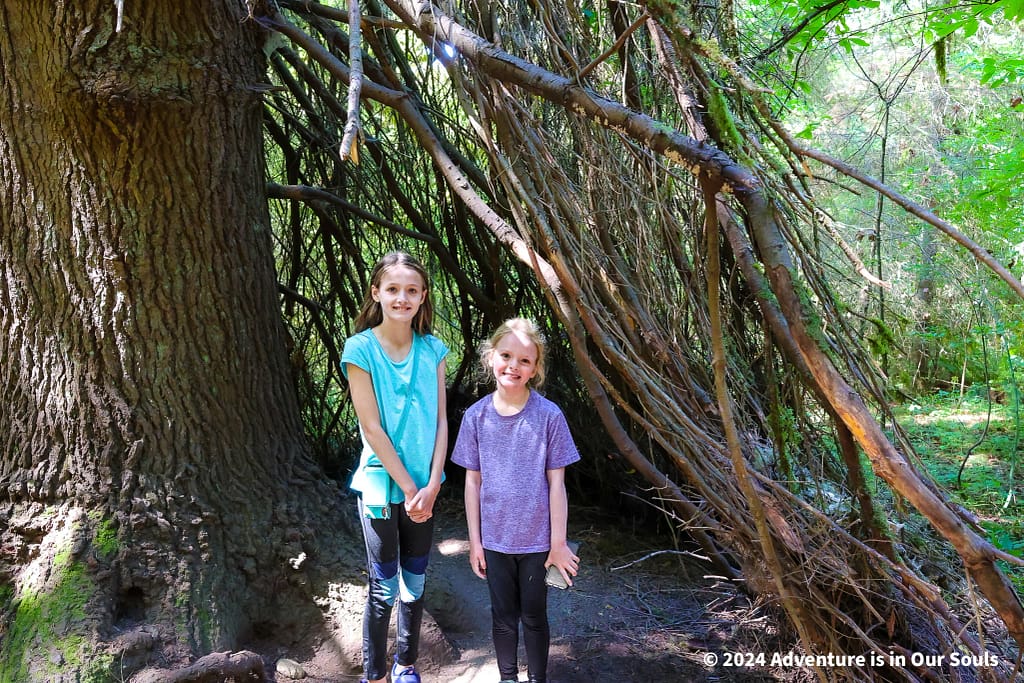 Olympic National Park