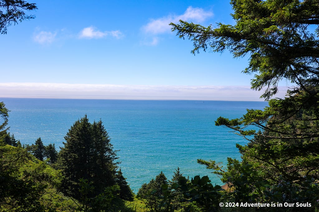 Neahkahnie Viewpoint