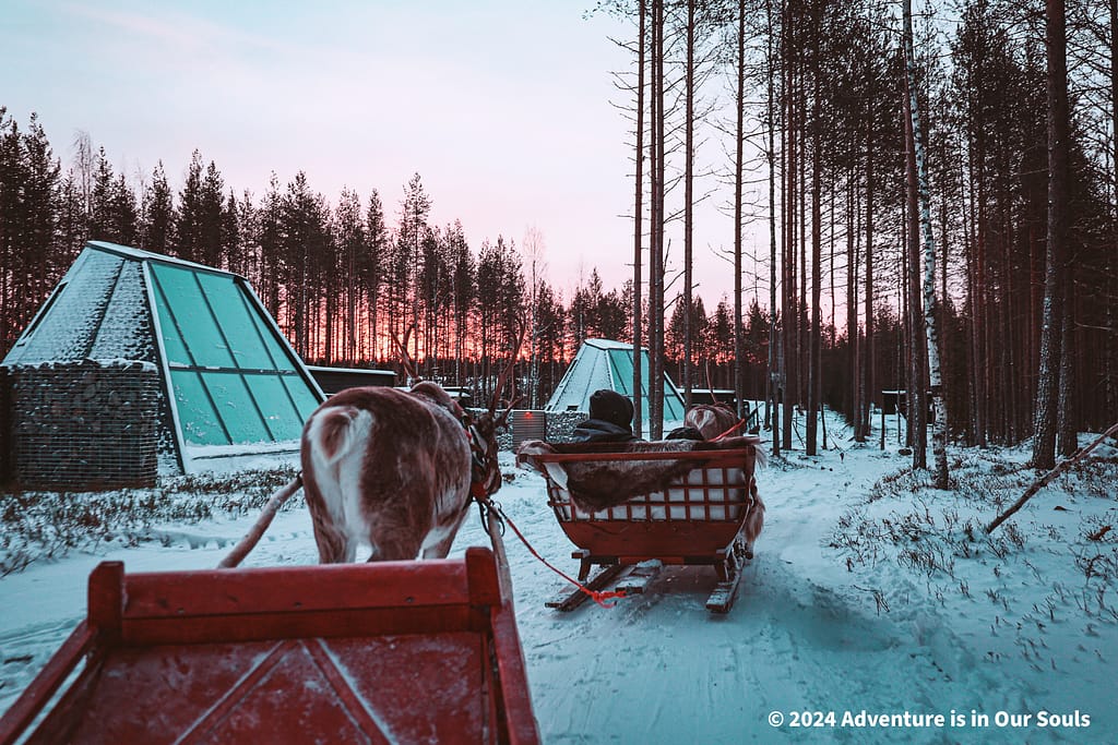 Reindeer Santa Claus Village Finland