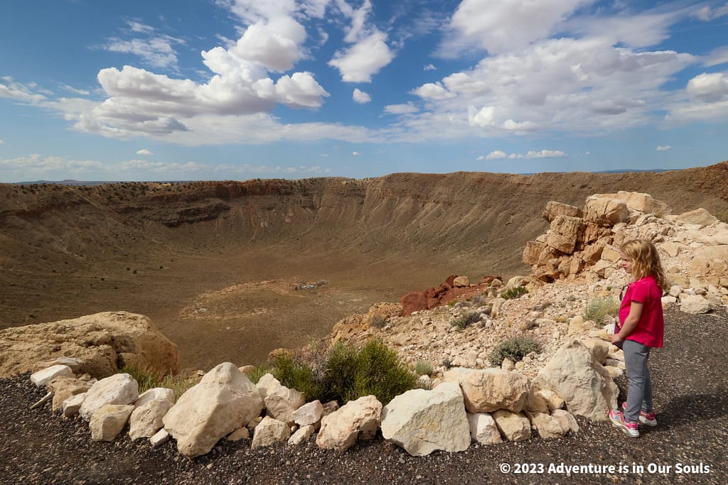 Spider Monkey at Meteor Crater Natural Landmark
