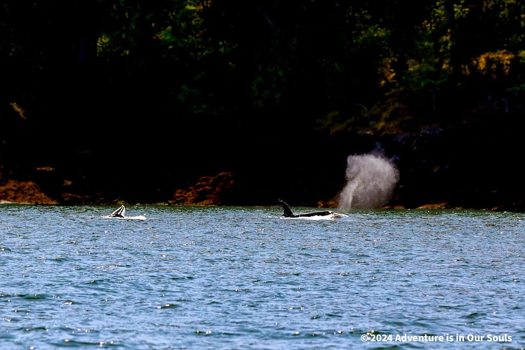 Anacortes Washington