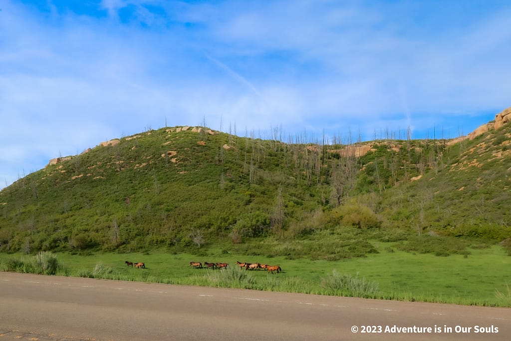 Mesa Verde National Park