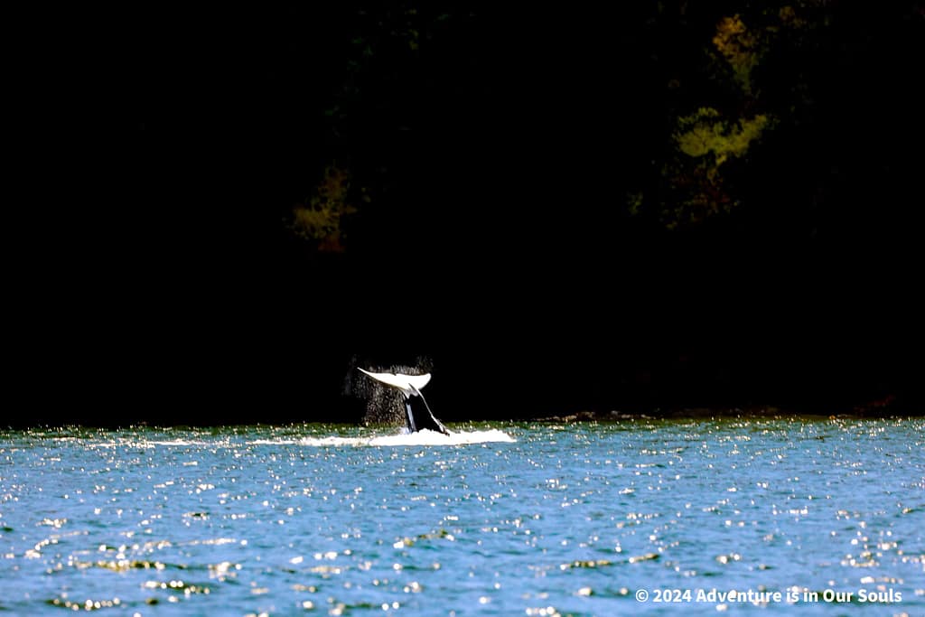 Anacortes Washington