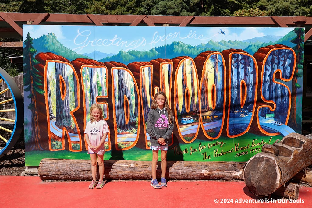 Redwoods