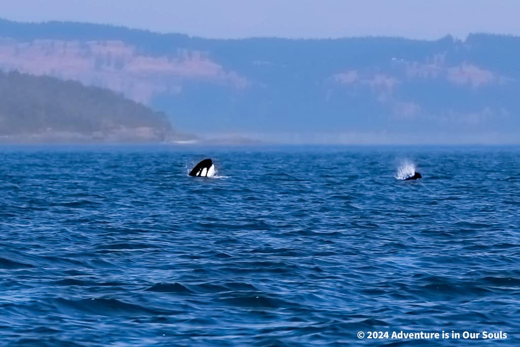 Anacortes Washington
