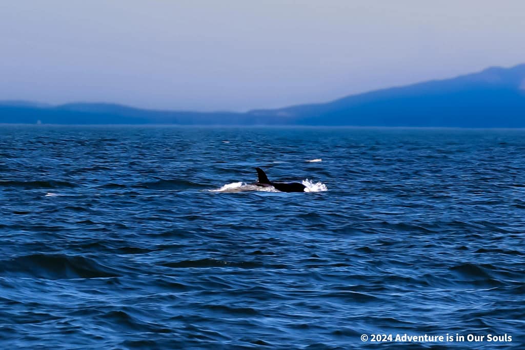 Anacortes Washington