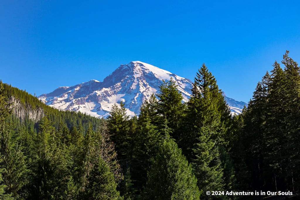 Mt Rainier National Park