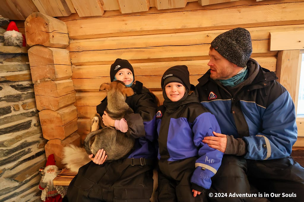 Huskies - Finland