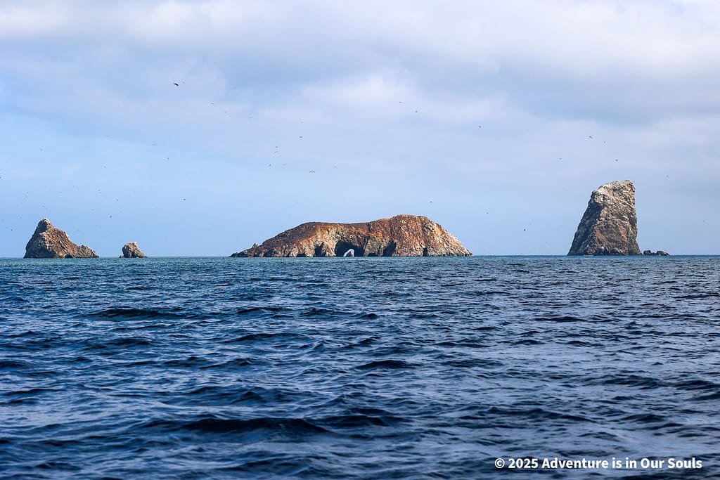 Paracas Peru