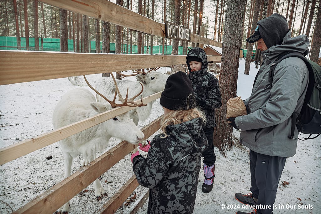 Santa Pets - Santa Claus Village Finland