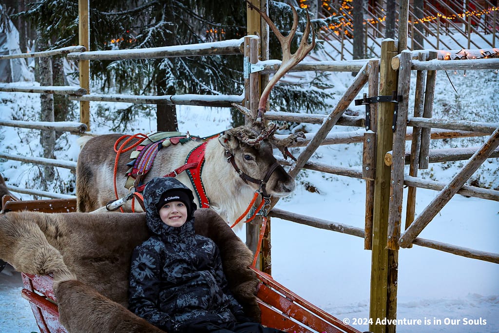 Reindeer Santa Claus Village Finland