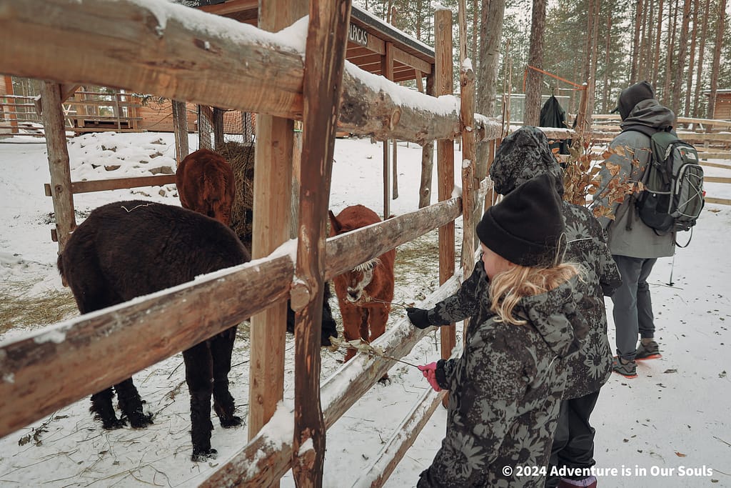 Santa Pets - Santa Claus Village Finland