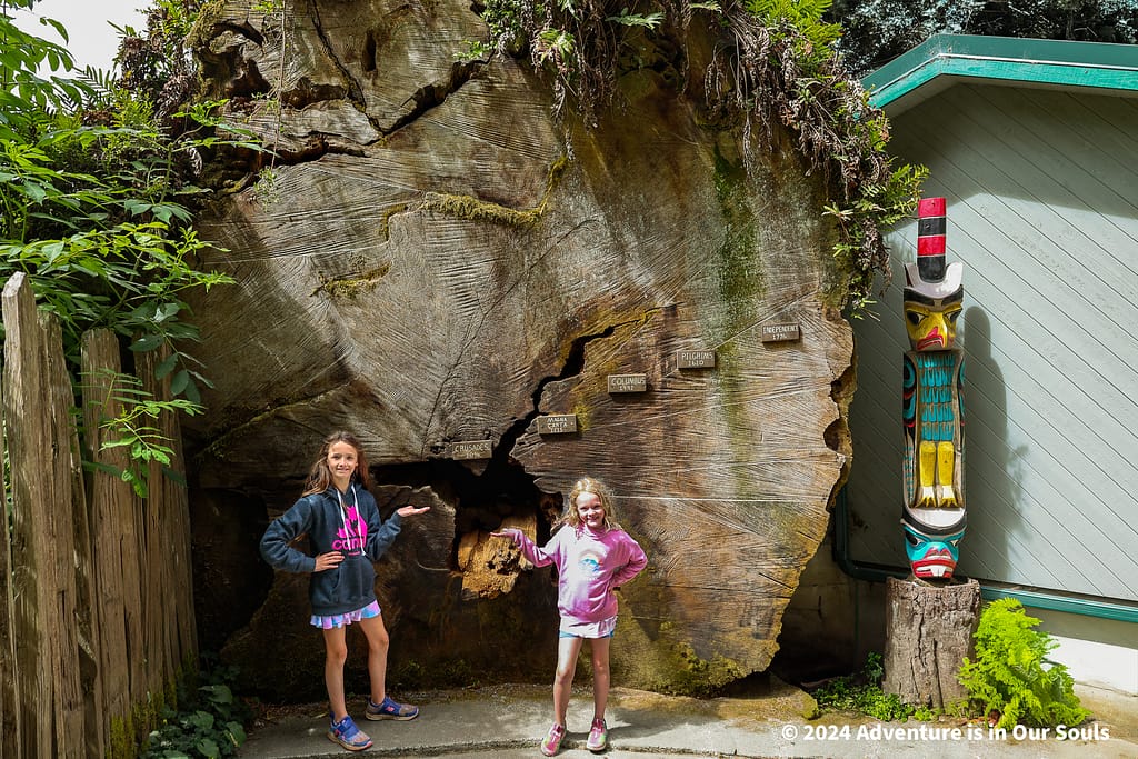 Trees of Mystery - Redwoods