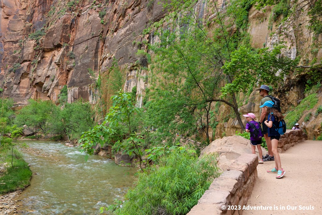 Zion National Park