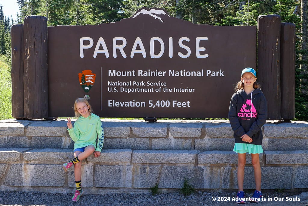 Mt Rainier National Park
