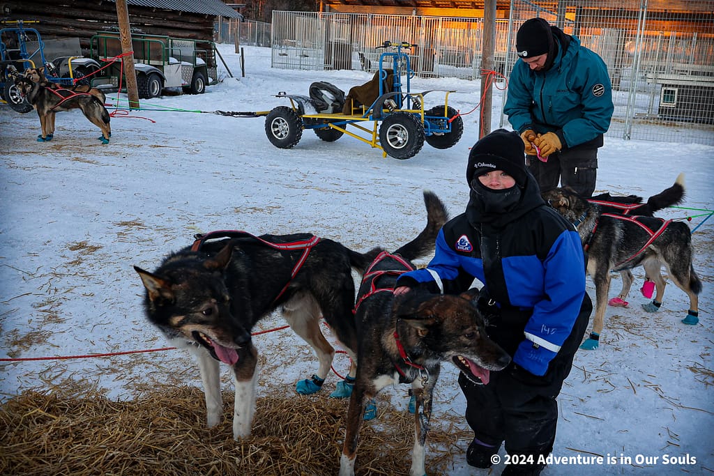 Huskies - Finland