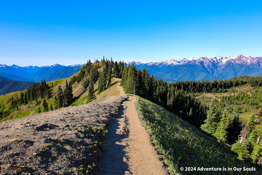 Olympic National Park