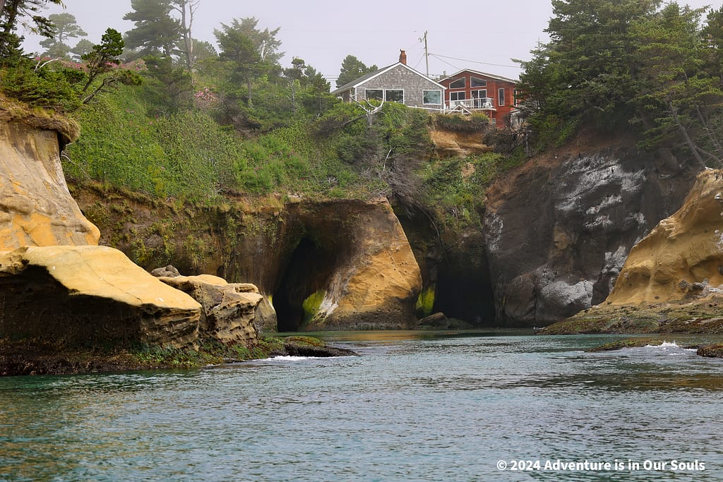 Depoe Bay Whale Watching