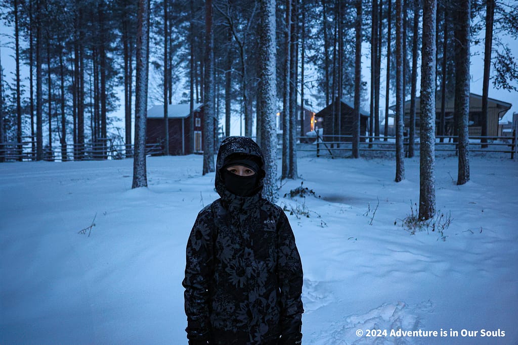 Reindeer - Finland
