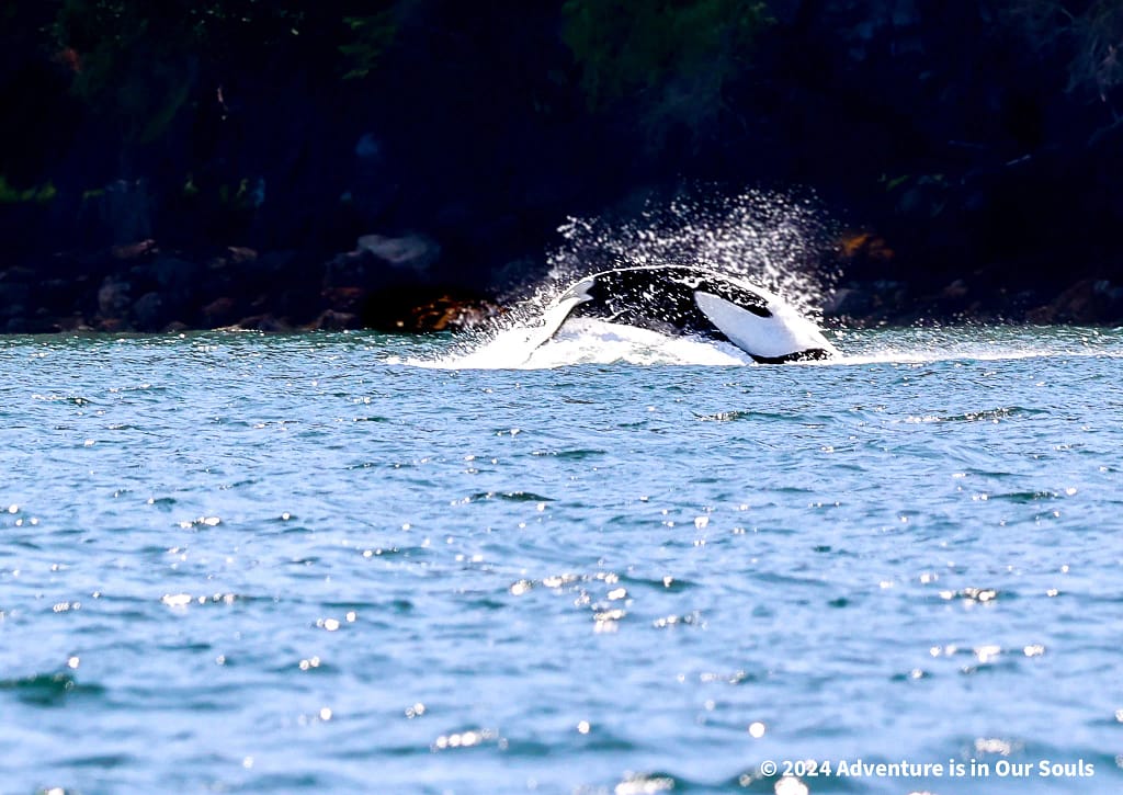 Anacortes Washington